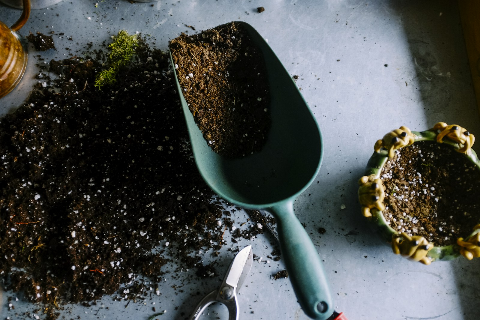 Repotting tools at the studio